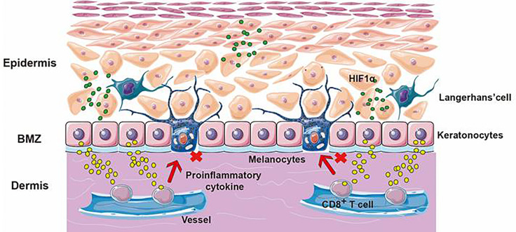 Figure 6