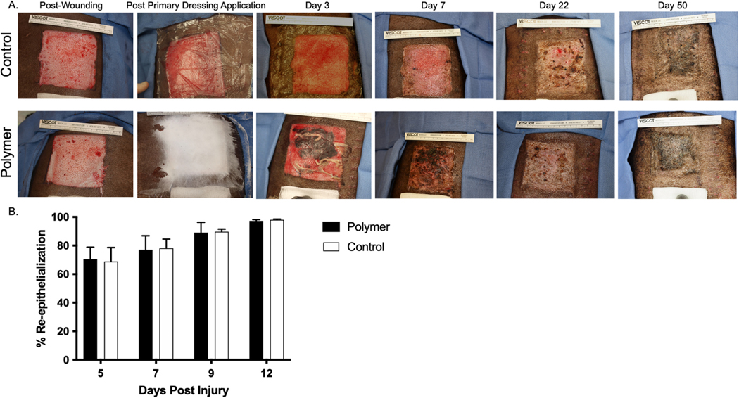 Fig. 3 –