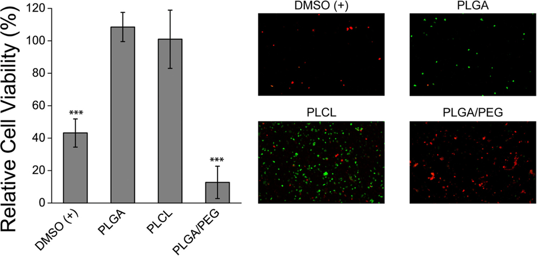 Fig. 2 –