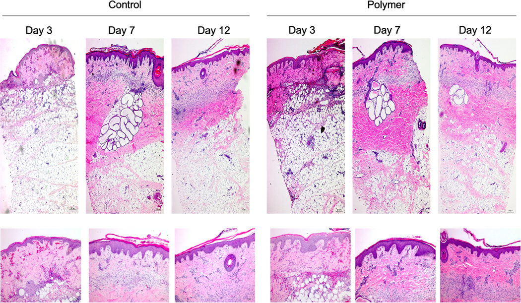 Fig. 10 –