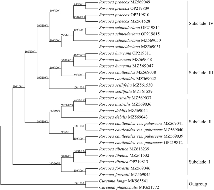 Fig. 6