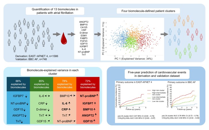 Graphical Abstract