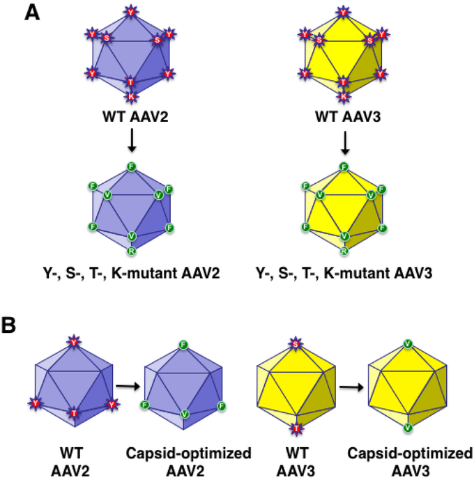 FIGURE 2: