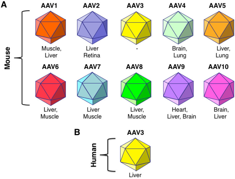 FIGURE 1: