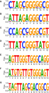 Figure 5.