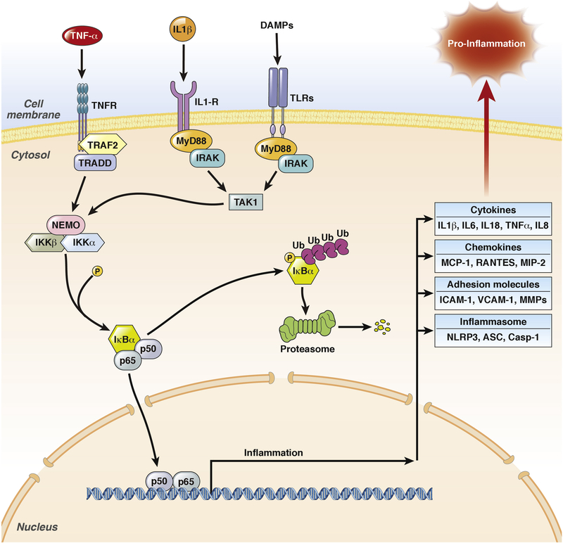 Figure 5: