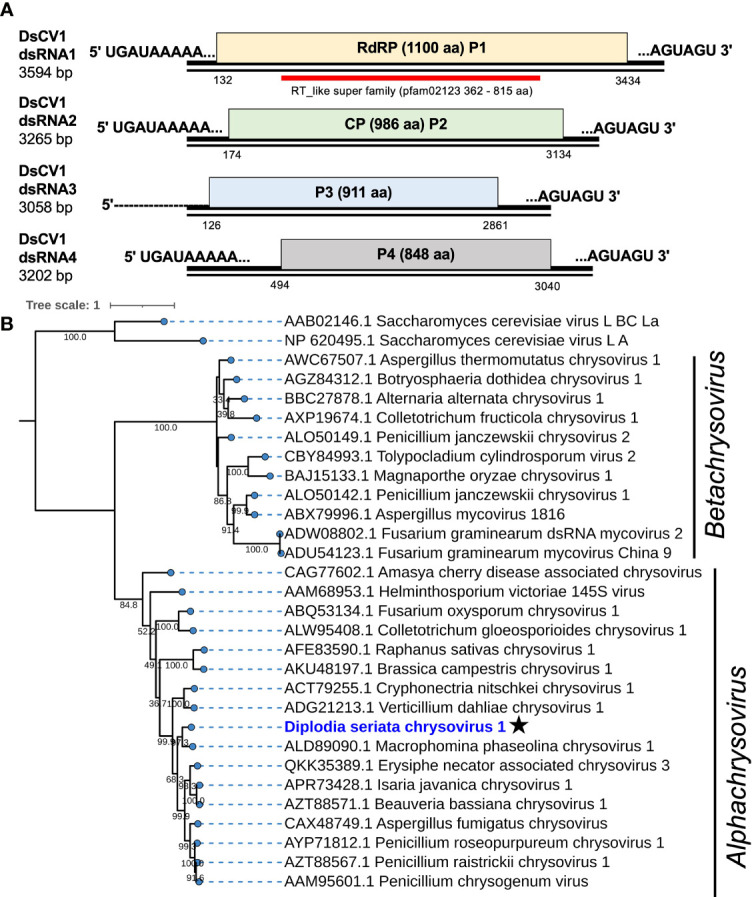 Figure 2