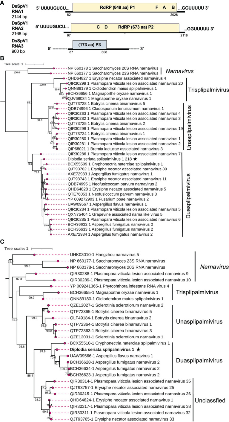 Figure 6