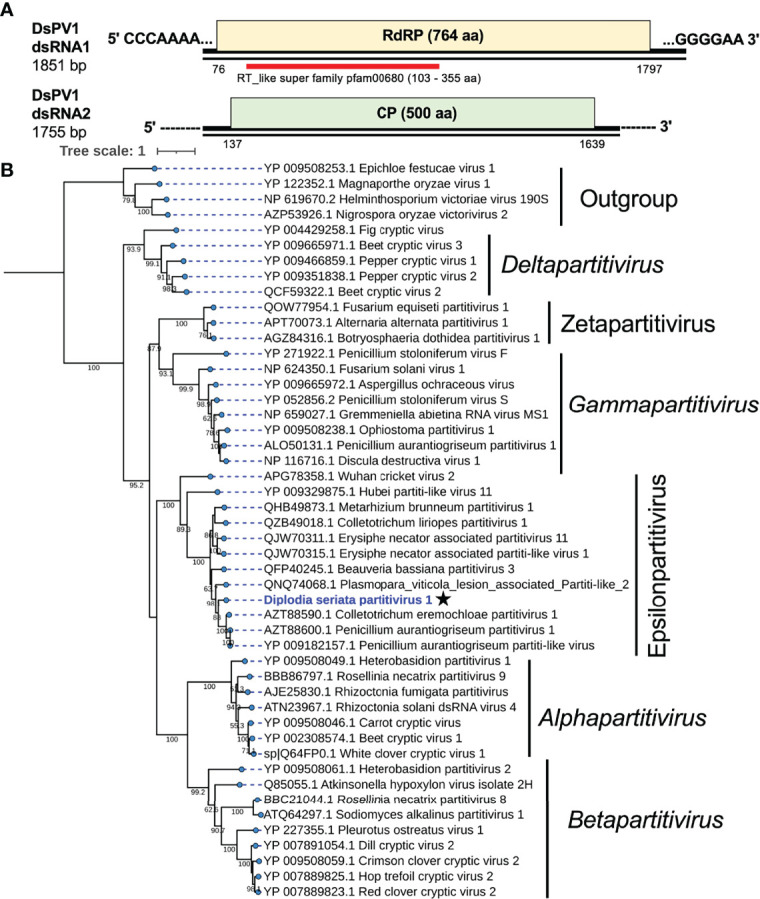 Figure 4