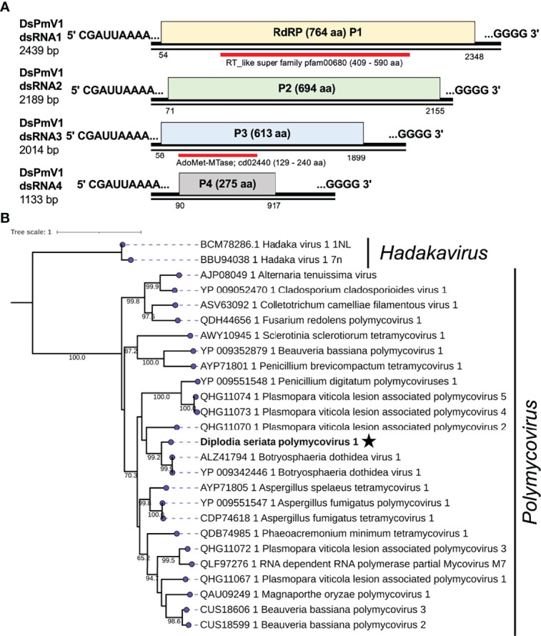 Figure 3