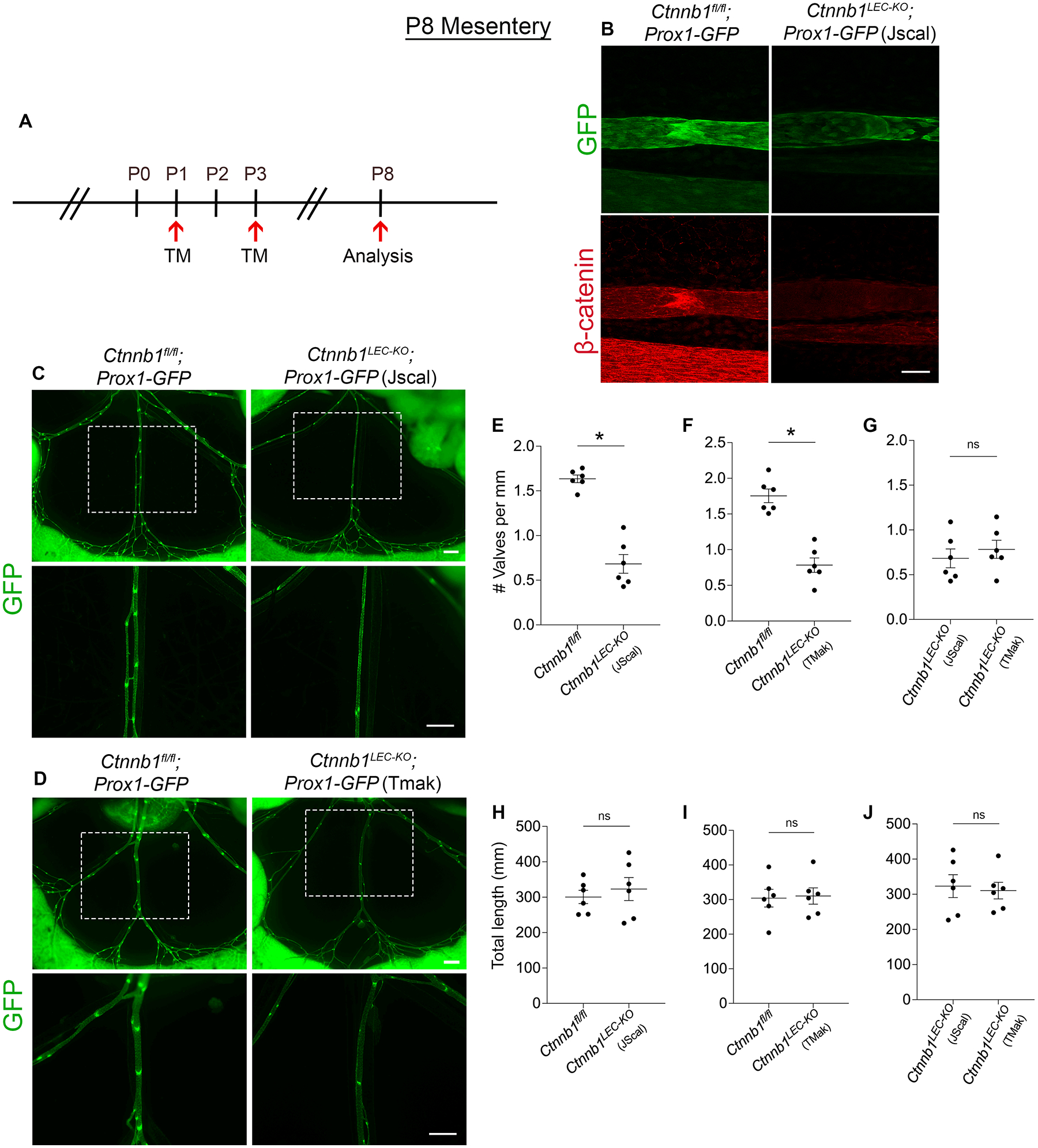 Figure 6: