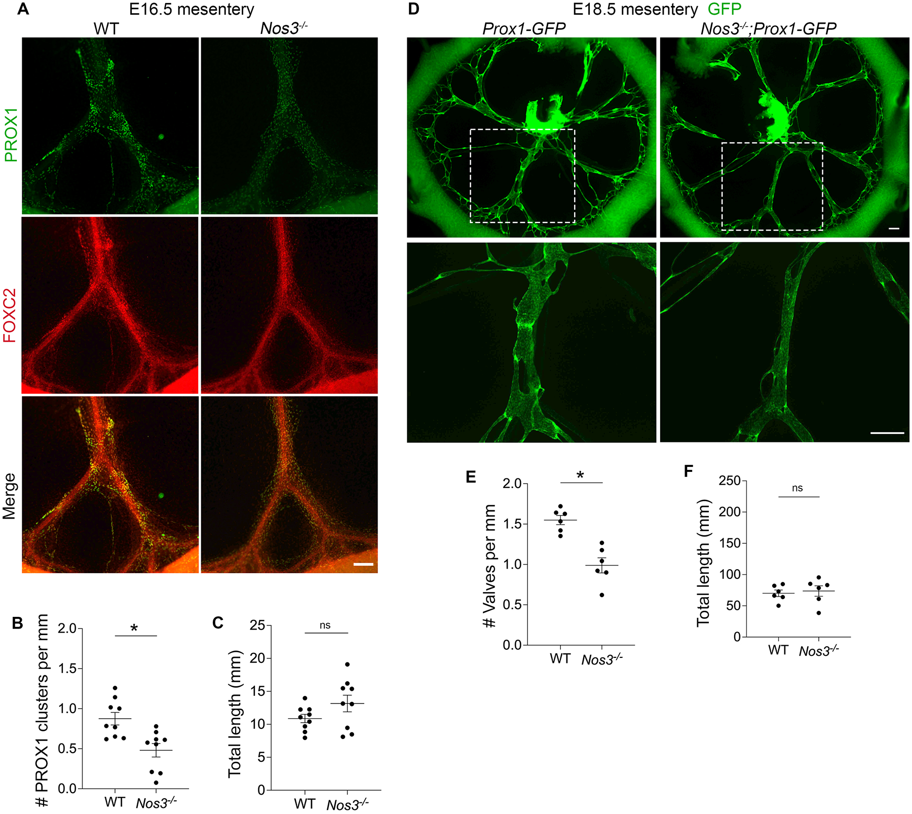 Figure 2: