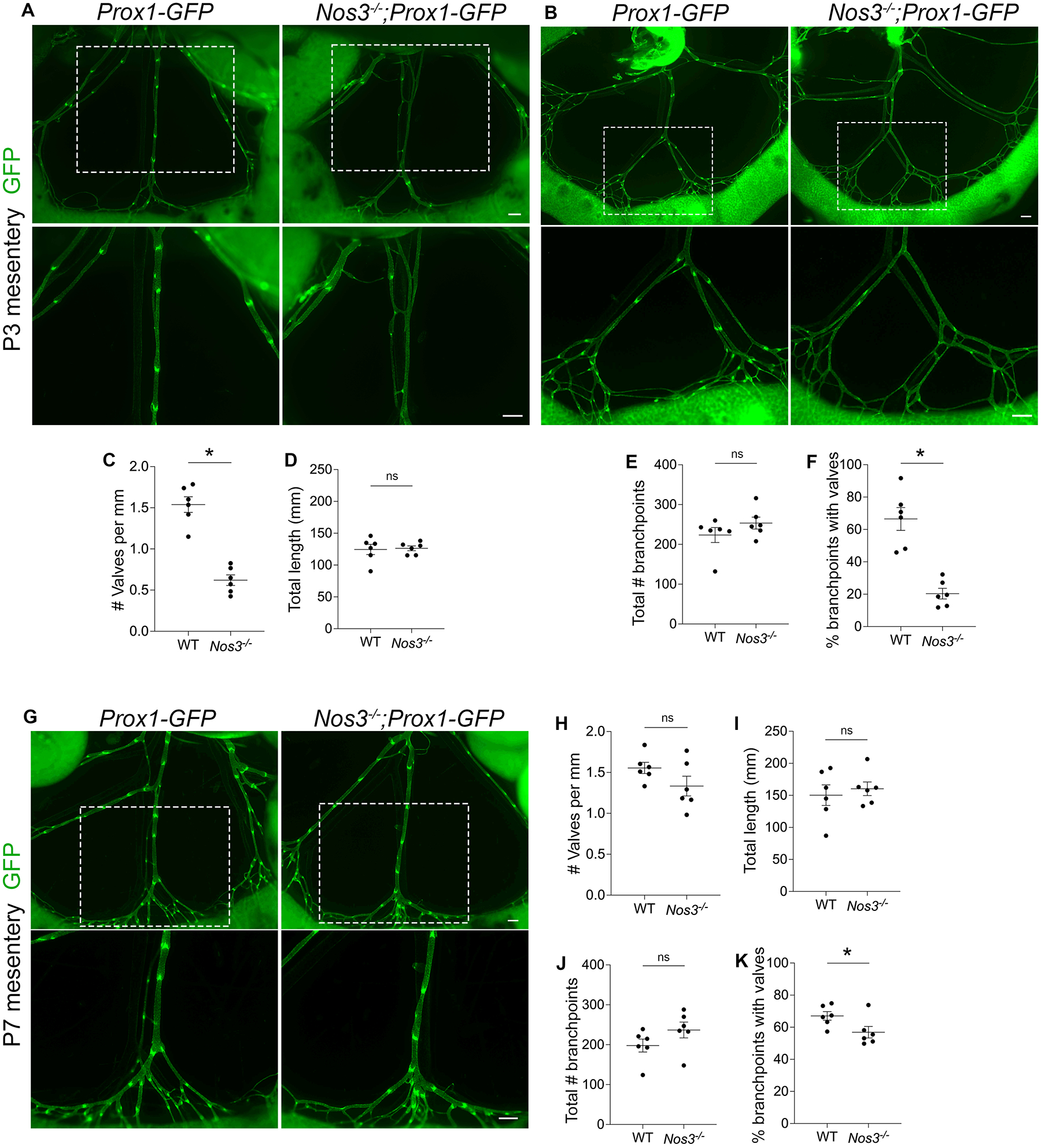 Figure 3: