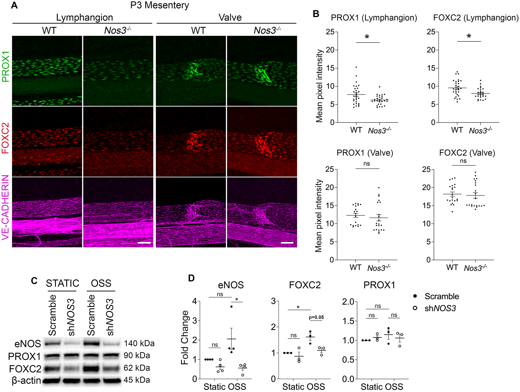 Figure 4: