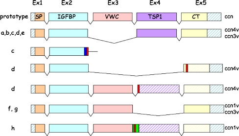 Fig. 1