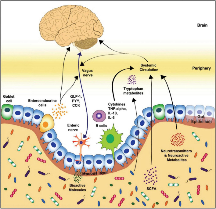 FIGURE 1