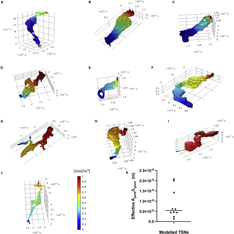 Figure 3