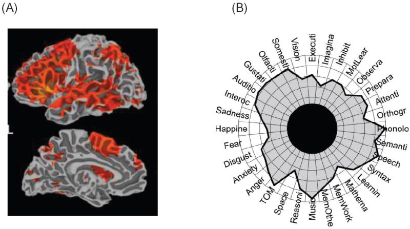 Figure 24