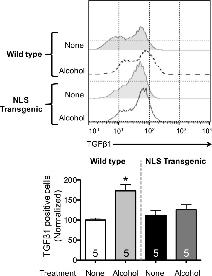 Figure 5