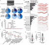 Figure 1. Quantification of <i>C. elegans’</i> cell and tissue volumes