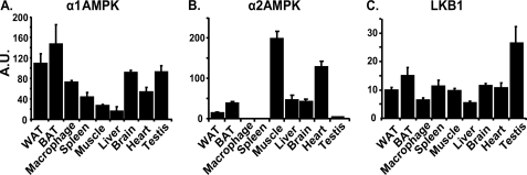 FIGURE 1.