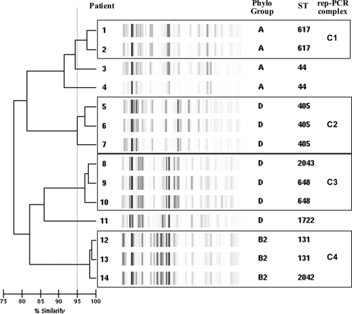 Fig. 1.