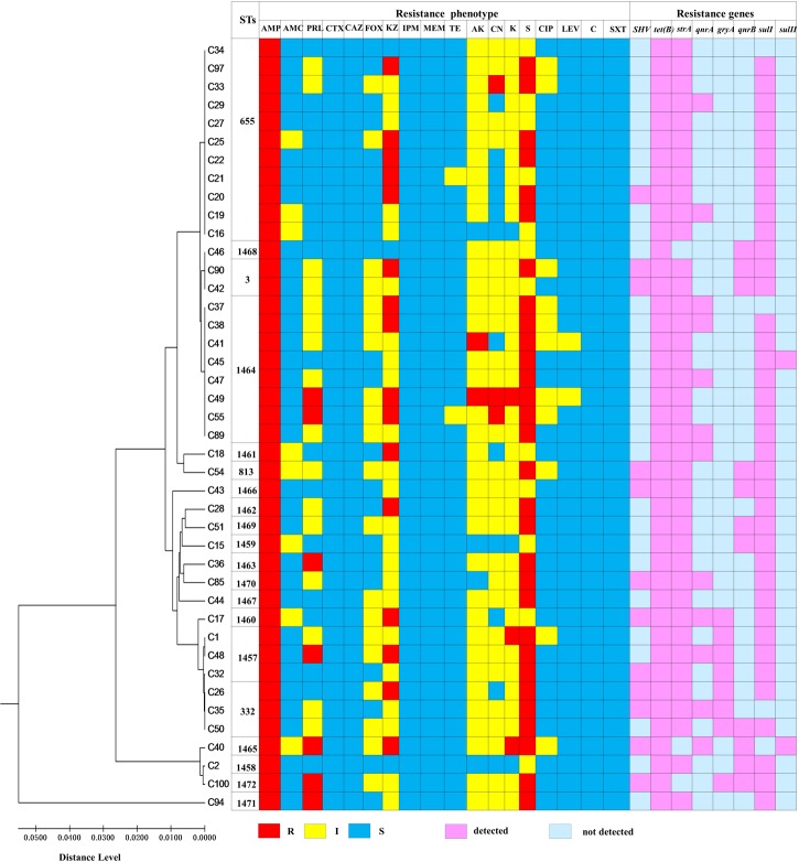 FIGURE 3