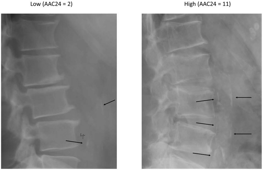 Figure 1: