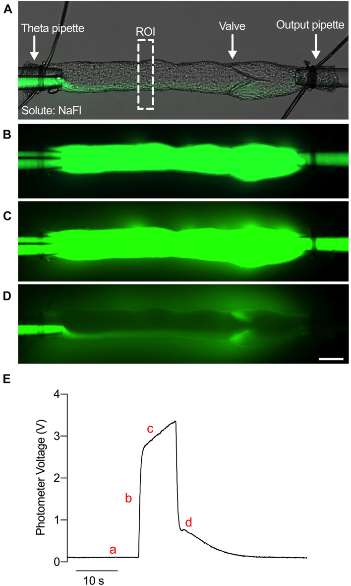 FIGURE 1