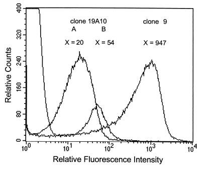 FIG. 1