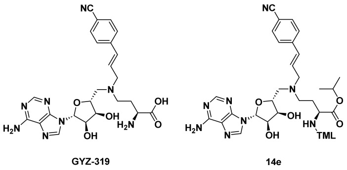 Figure 21