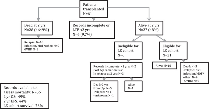 FIGURE 1