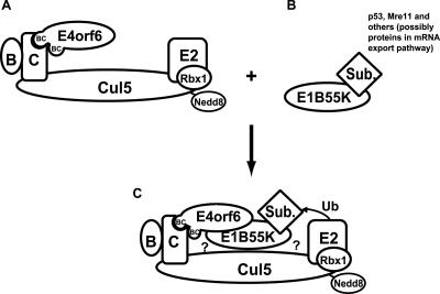 FIG. 8.