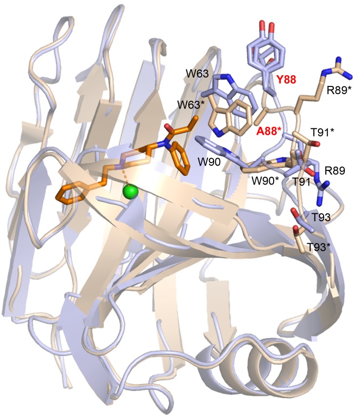 Figure 3—figure supplement 2.