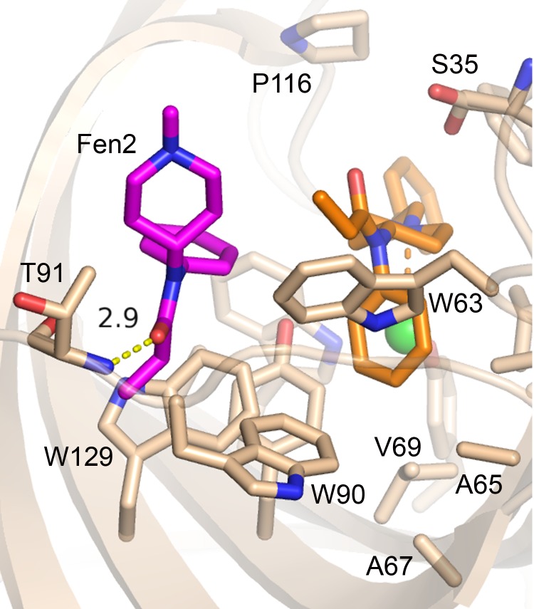 Figure 3—figure supplement 9.