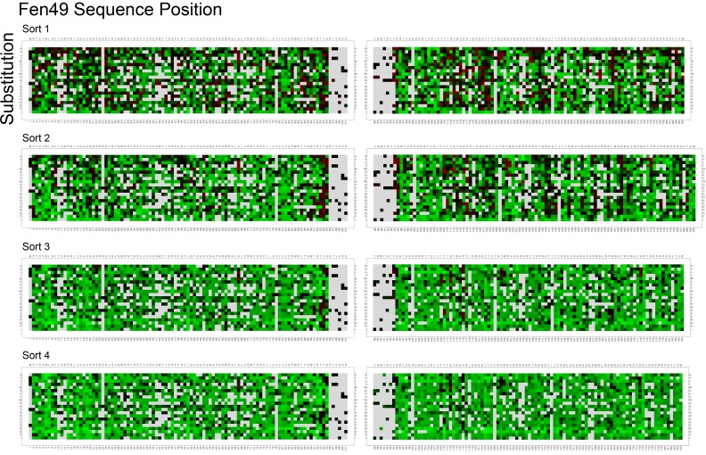 Figure 2—figure supplement 1.