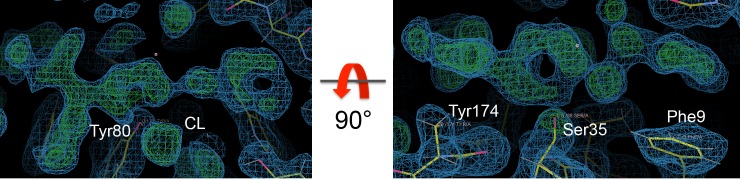 Figure 3—figure supplement 8.