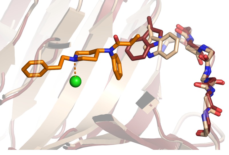 Figure 3—figure supplement 5.