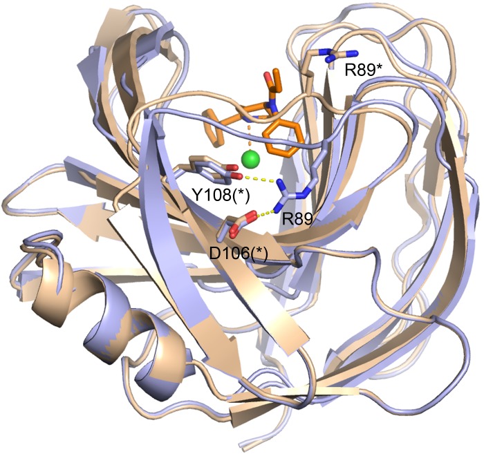 Figure 3—figure supplement 3.