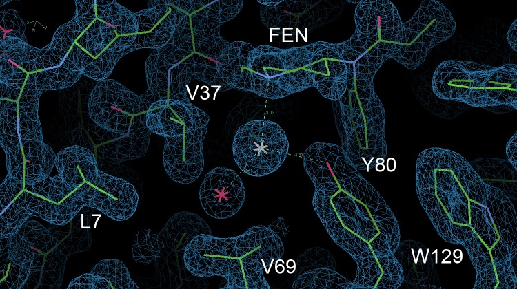 Figure 3—figure supplement 7.