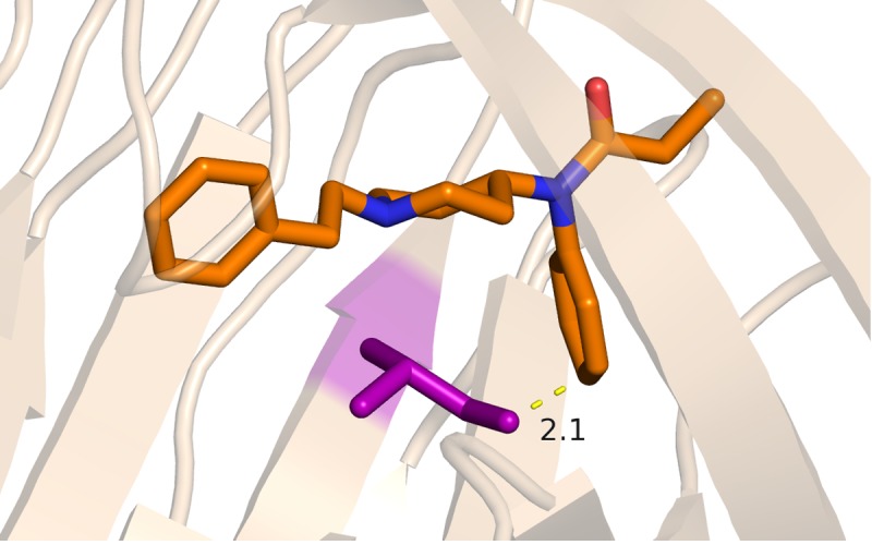 Figure 2—figure supplement 2.