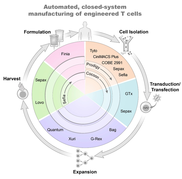 graphic file with name nihms-1848290-f0001.jpg