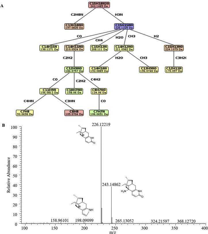 Fig. 8