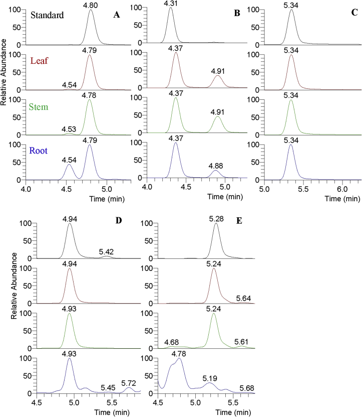 Fig. 3