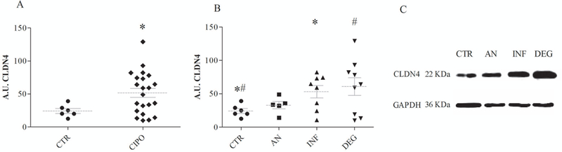 Fig 2.