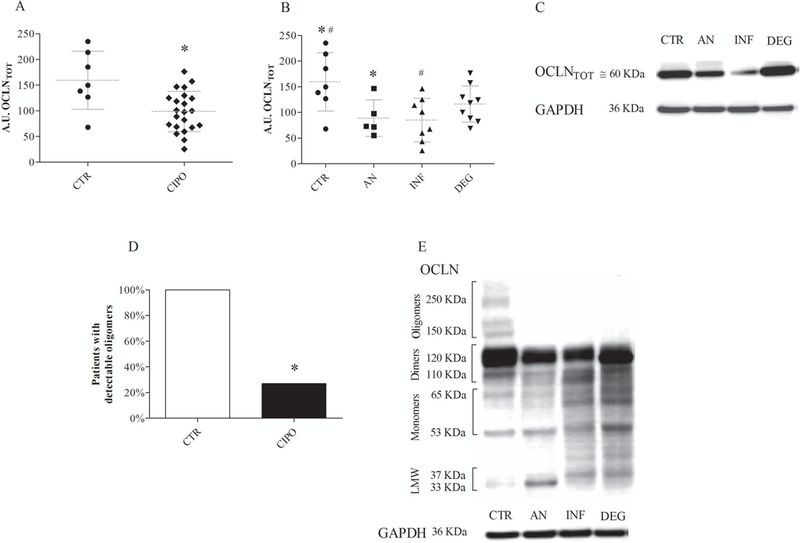 Fig 1.