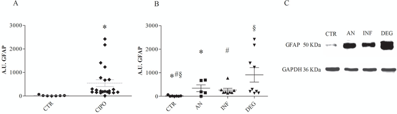 Fig 4.