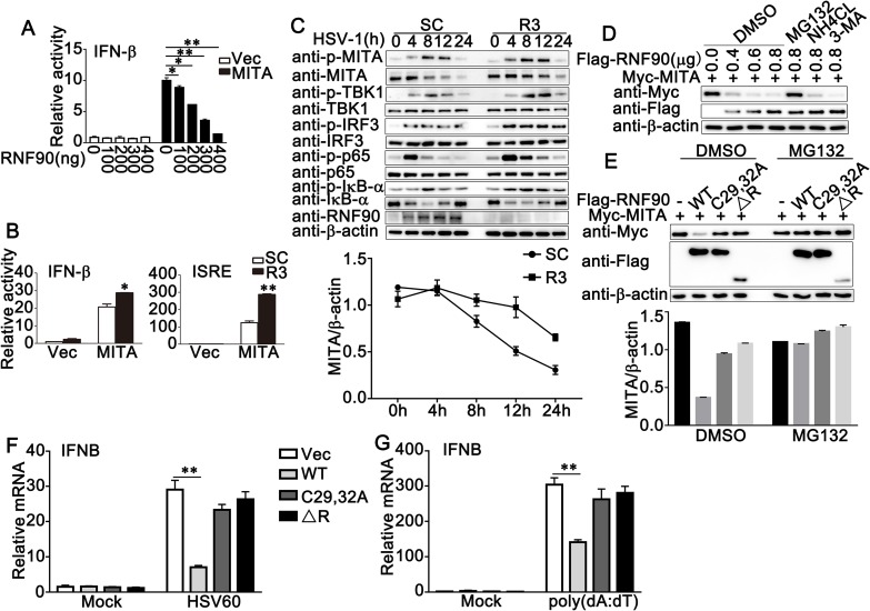 Fig 4