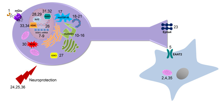 Figure 15