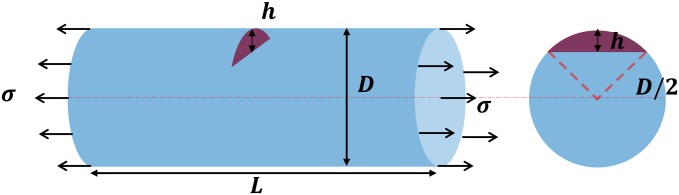 Fig. S6.